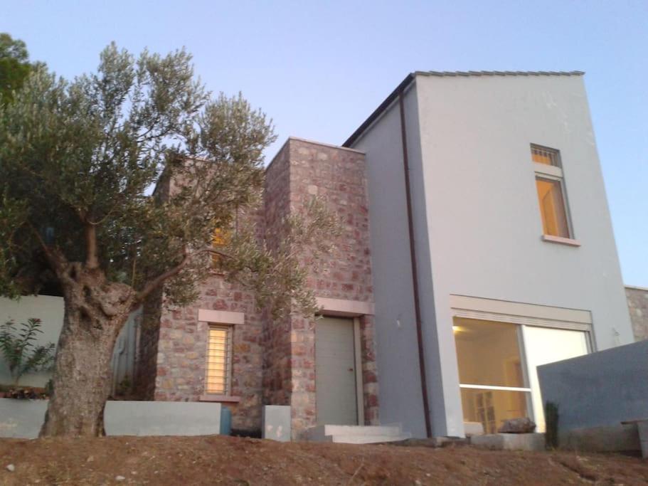 Unique For Art & Nature Lovers Appartement