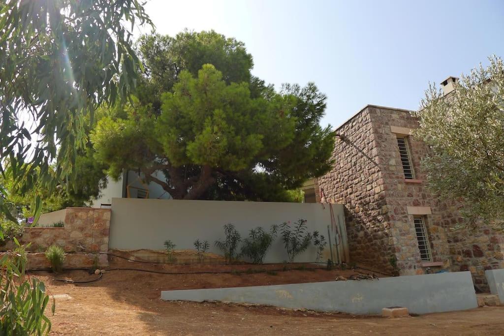 Unique For Art & Nature Lovers Apartment Porto Heli