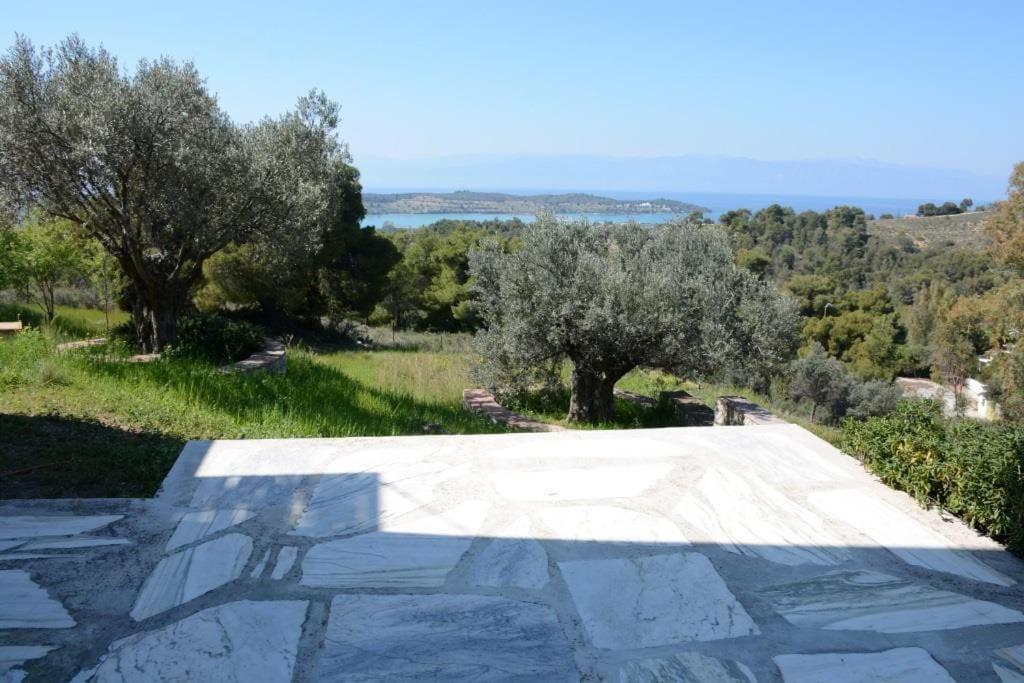 Unique For Art & Nature Lovers * Porto Cheli