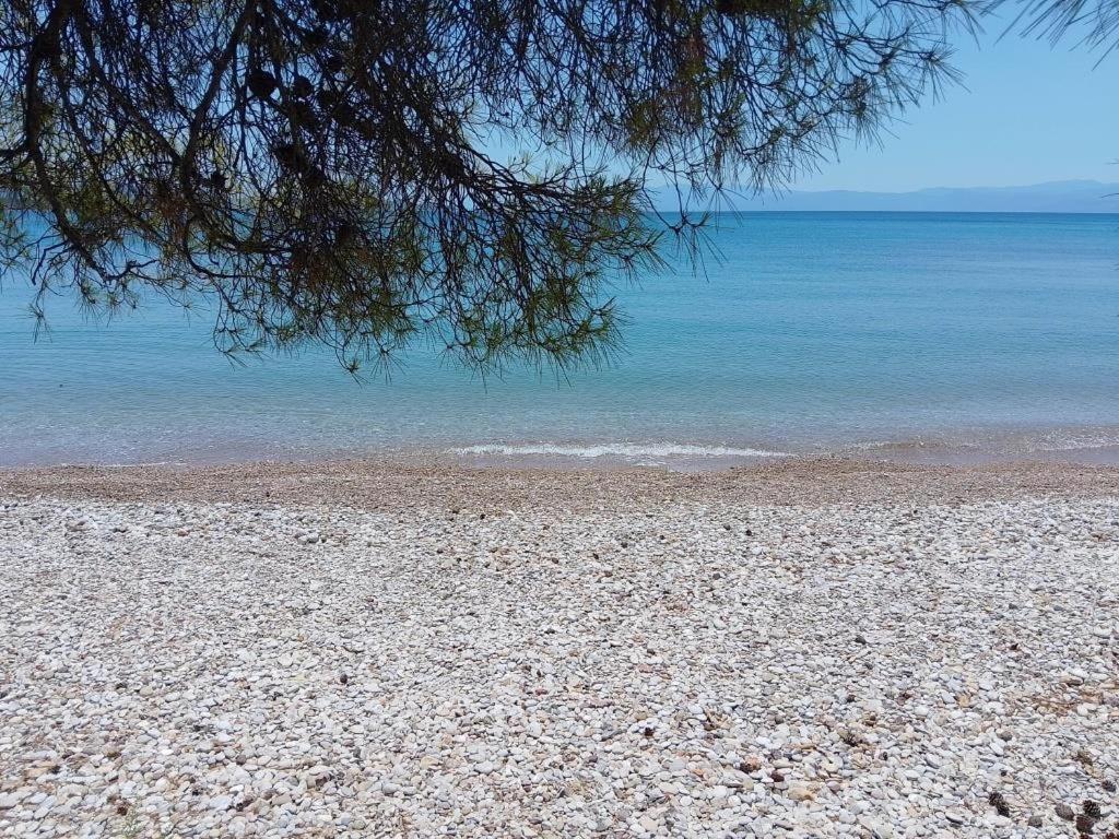 Unique For Art & Nature Lovers * Porto Heli